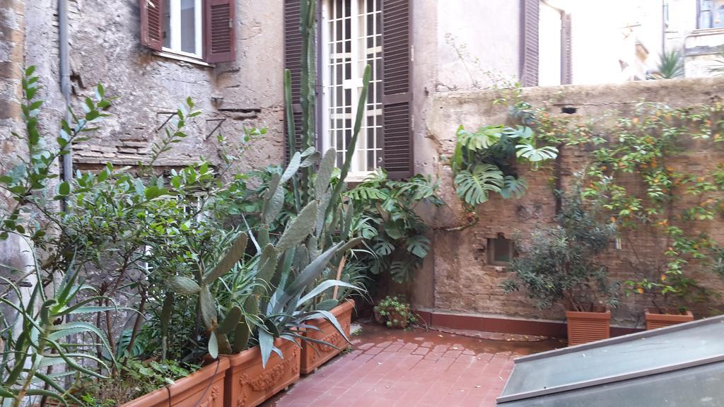 Cozy Navona Lejlighed *